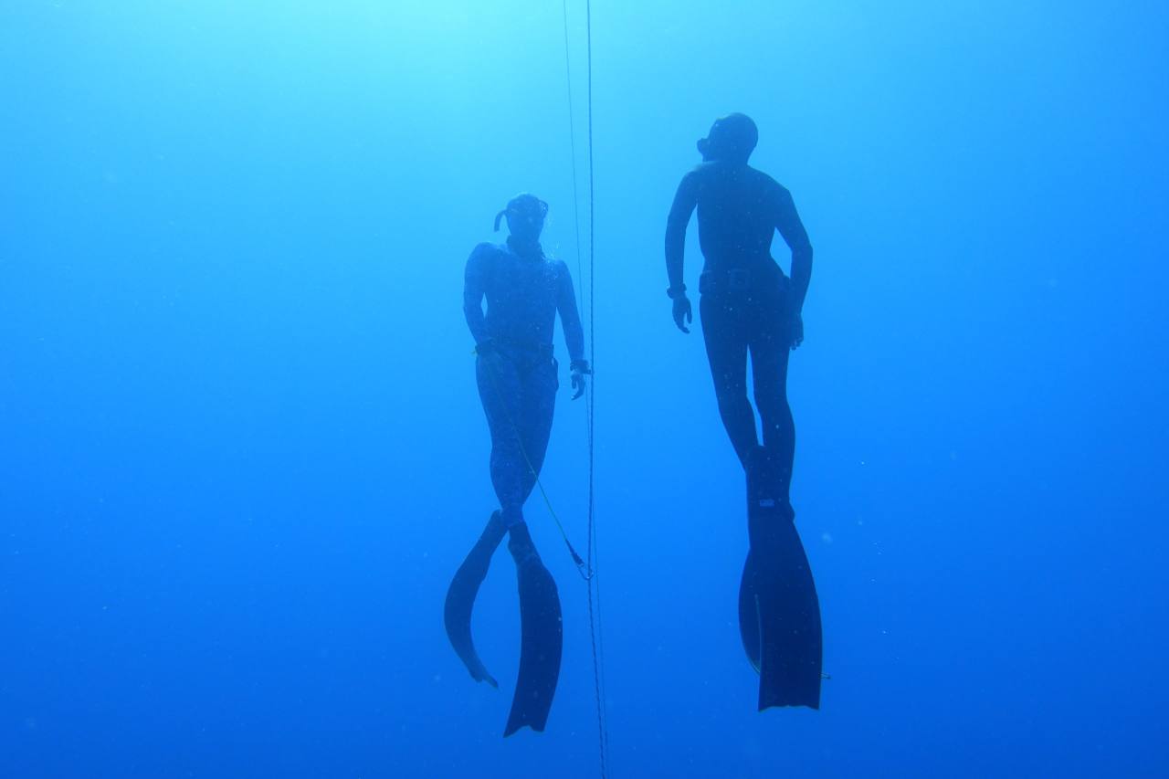 Paolo Tamagnini's post photo 1