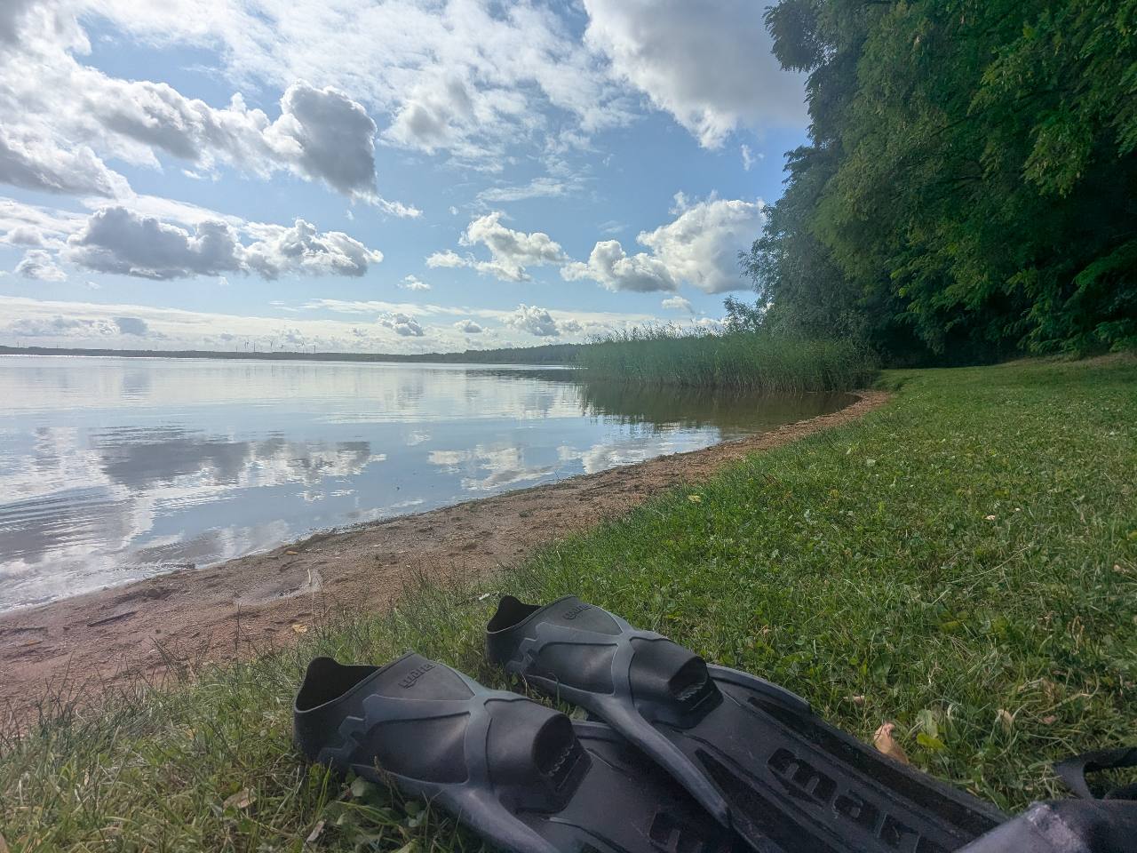 Paolo Tamagnini's post photo 1