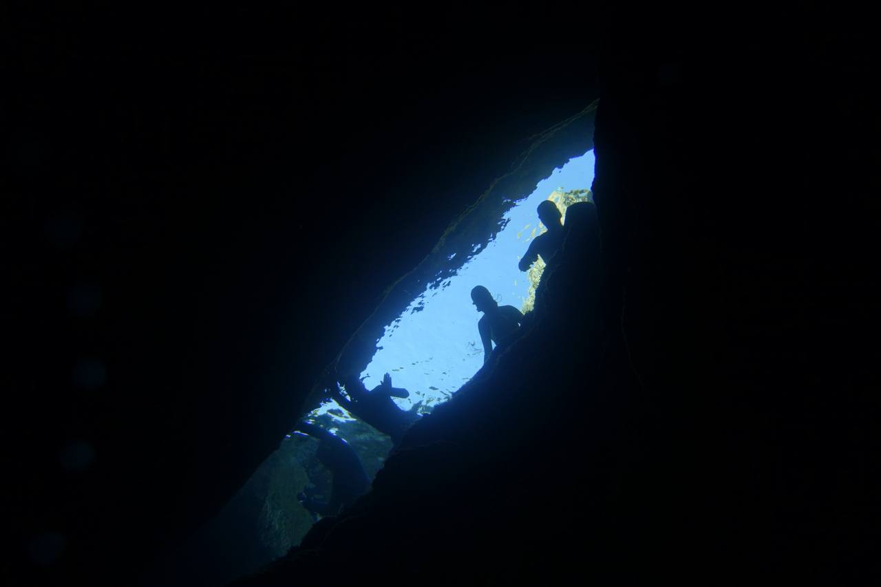 Paolo Tamagnini's post photo 5