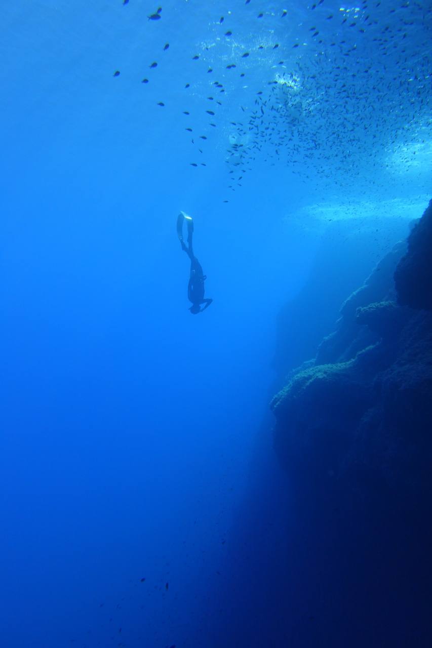 Paolo Tamagnini's post photo 7
