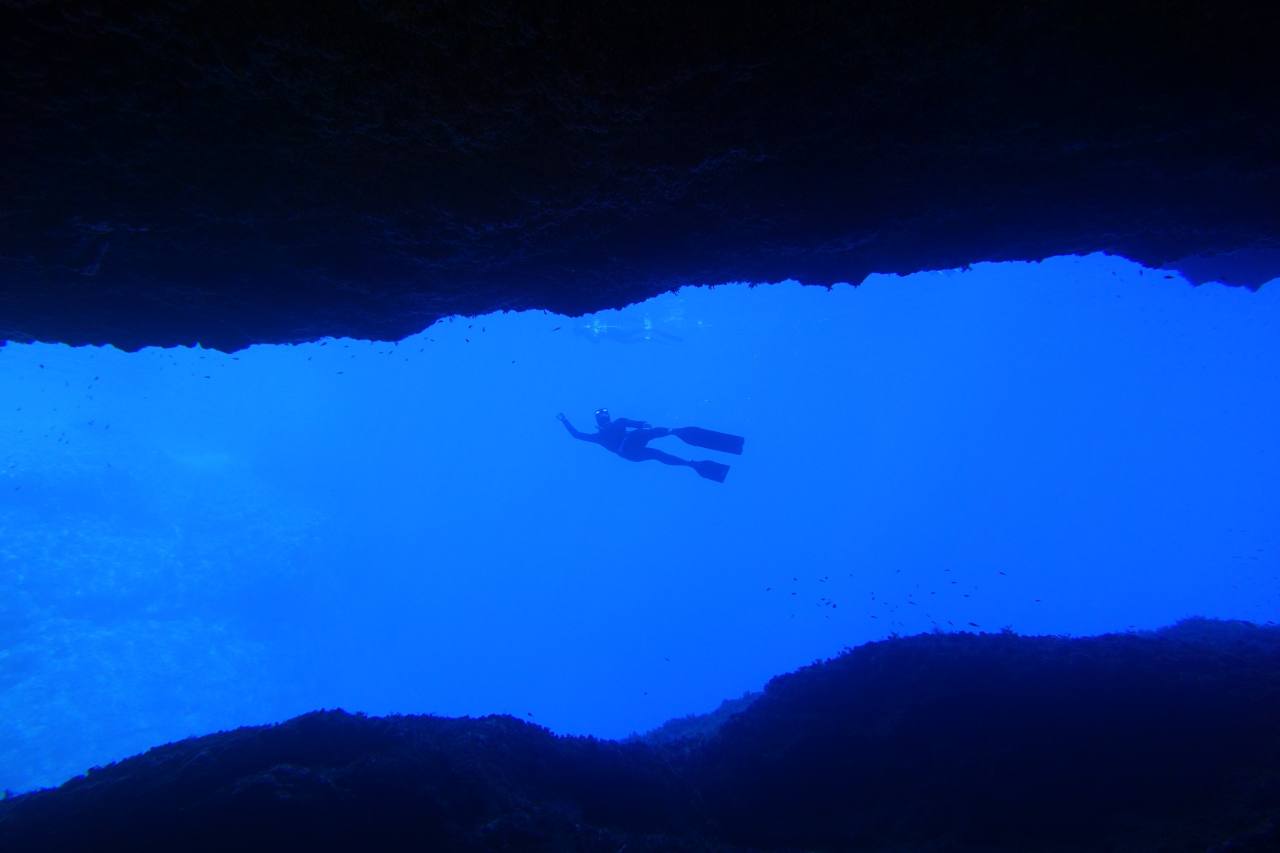 Paolo Tamagnini's post photo 8