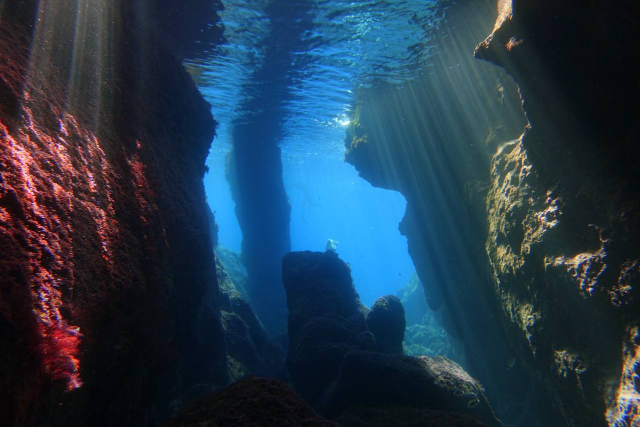 Paolo Tamagnini's post photo 2